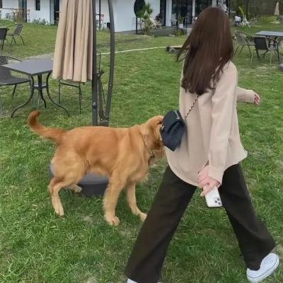 与德莱尼夫妇约会